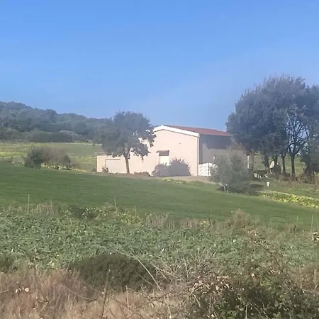 Moro Nyaraló *